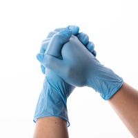 Cheap High Quality Procedure Powder Free Waterproof Examination Nitrile Gloves