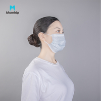 Suitable For Summer Anti Droplets Protective Wholesale Non Woven Dispsoable Face Mask