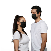 High Quality Best Selling Non Woven Protective Disposable Face Mask