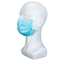 3 Ply Non Woven Comfortable Pleated Wholesale Customized Protective Customized Disposable Medical Face Mask 