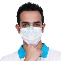 Wholesale Breathable Anti Hay Fever Disposable Face Mask for Air Pollution